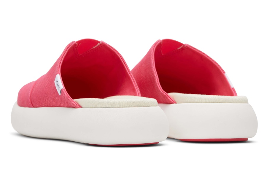 トムス・マロウ・ミュール・ラズベリー